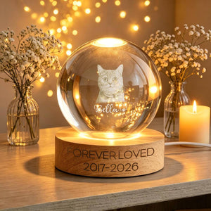 Custom Pet Memorial Night Light, Personalized Pet Portrait Crystal Ball Night Light