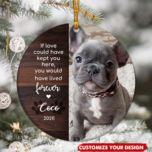 Personalized Pet Sympathy Gift - Christmas Photo Ornament